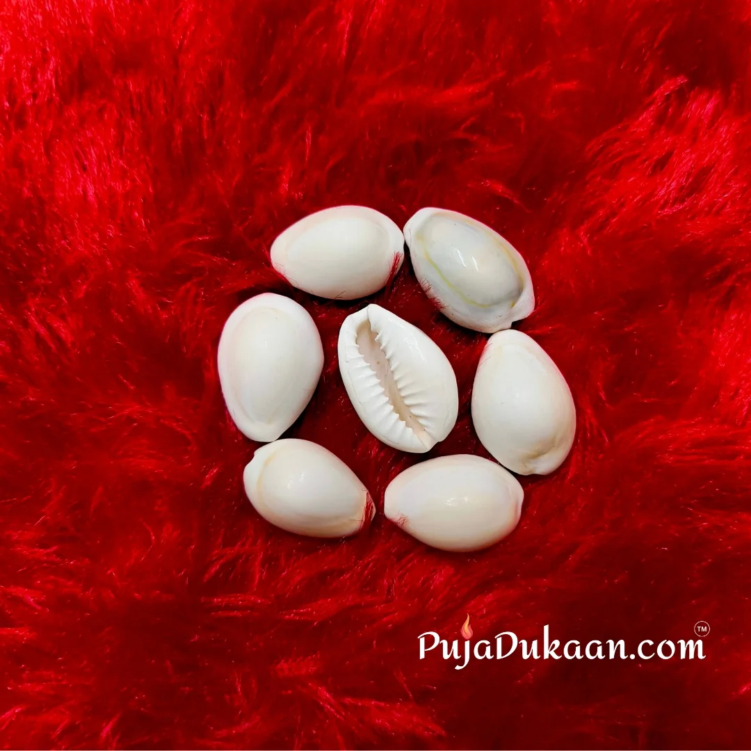Kauri White (7 pcs)