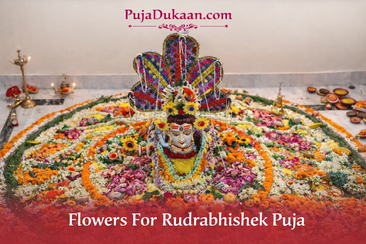 ChatGPT Image Jan 15, 2026, 03_49_59 PM